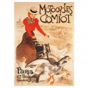 Plaque m&eacute;tal 15x21 cm - Motocycles Comiot