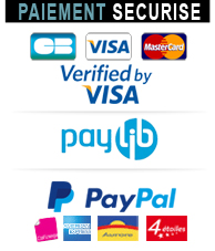 visa, mastercard, paypal